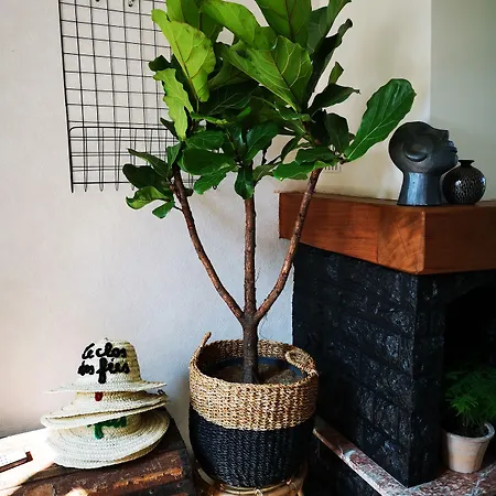 Le Clos Des Fees Asnieres-sur-Oise